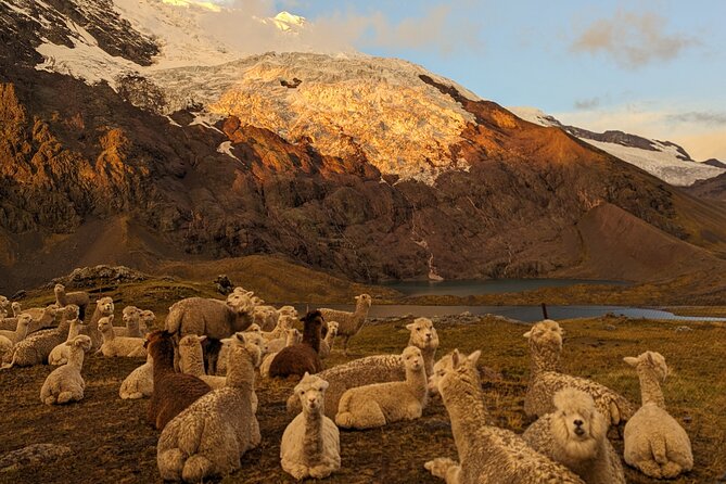 4-Day Tour in Ausangate Trek and Rainbow Mountain of Cusco - Day 3: Puca Pass, Rainbow Mountain, and a sunset camp