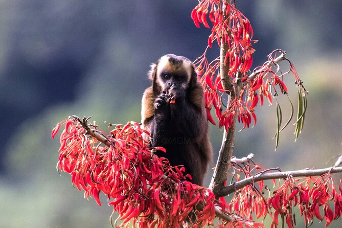 4 Day Tour to the Manu National Park - Five details that shape the trip