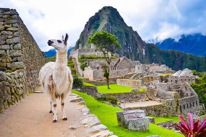 4 Days : Cusco || MachuPicchu || Rainbow Mountain || All Included || - Day 4: A simple airport transfer