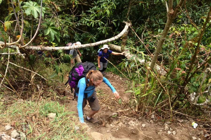 4 Days Inca Jungle Adventure to Machu Picchu - What the $439 price really covers