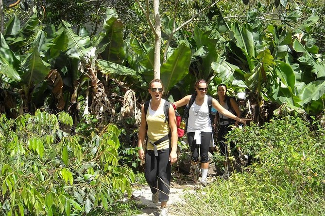 4 Days Inca Jungle to Machu Picchu Standard - Day 4: Machu Picchu before the return journey