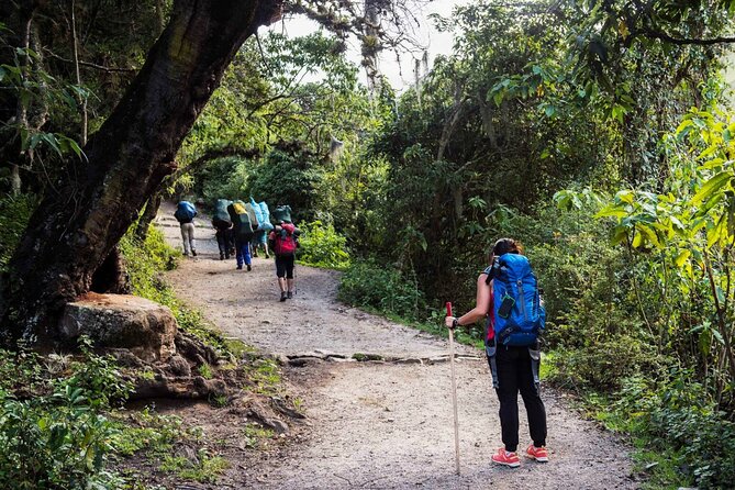 4 Days Inca Trail Adventure to Machu Picchu - Day 2: Dead Woman’s Pass and Runkurakay