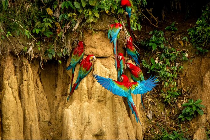4 Days Manu Park Tour - What the $643 price buys you