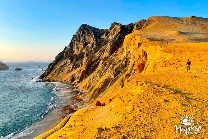 4 Hrs GOLDEN SHADOWS TREK in Paracas National Reserve - The guides and the human side of the trip