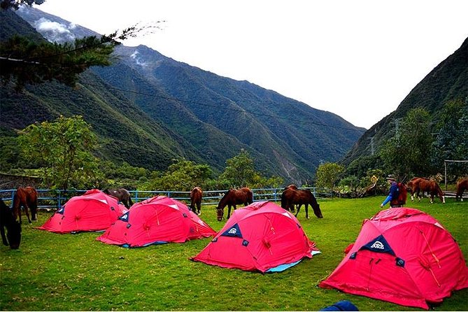 5-Day All-Inclusive Salkantay Trek To Machu Picchu - Day 5: Machu Picchu and the Ride Back to Cusco