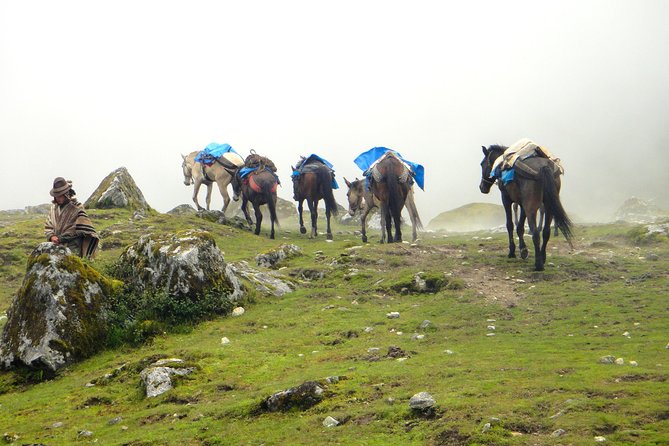 5-Day All-Inclusive Salkantay Trek To Machu Picchu - How Hard Is the Trek?