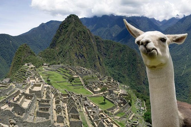 5-Day Salkantay Trek to MachuPicchu with Optional Hot Spring Bath - Day 1: Humantay Lake and a cold night at 3,920 meters