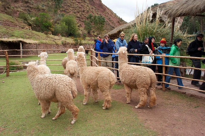 5-Day Tour Empire of the Incas Adventure - Day 3: Chinchero, Moray, and Ollantaytambo
