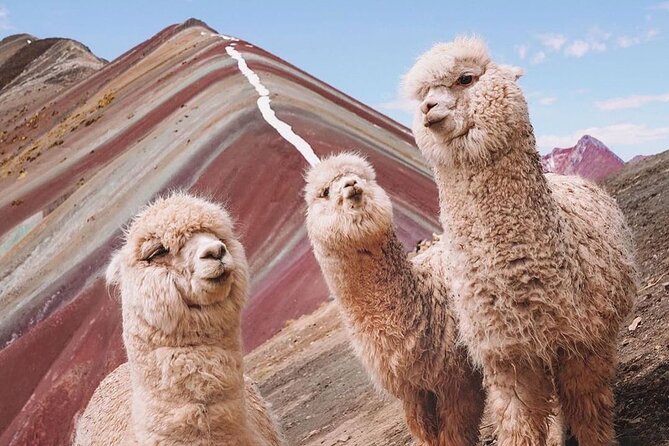 5 Day Tour Machu Picchu, Sacred Valley and Mountain of Colors - Day 2: Chinchero, Moray, Maras, and the train to Aguas Calientes