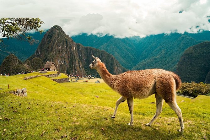 5 Days: Cusco, Sacred Valley, MachuPicchu and Rainbow Mountain - Day 4: Rainbow Mountain and the hard reality of altitude