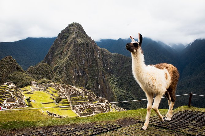 5 Days: Cusco || Sacred Valley || MachuPicchu || Moray & salt Mines || - What the five-day route is really like