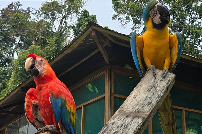 5 Days Guided Manu Amazon Tour - Cloud forest, orchids, and the Madre de Dios River