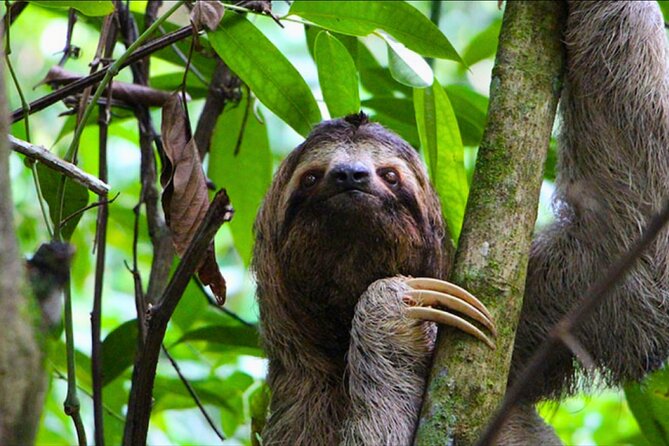 5 Days Guided Manu Amazon Tour - What the $835 price really covers