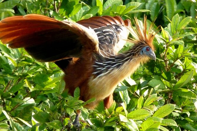 5 - Days Manu Jungle Tour with Hot Springs and Falls - Why this Manu trip is worth considering