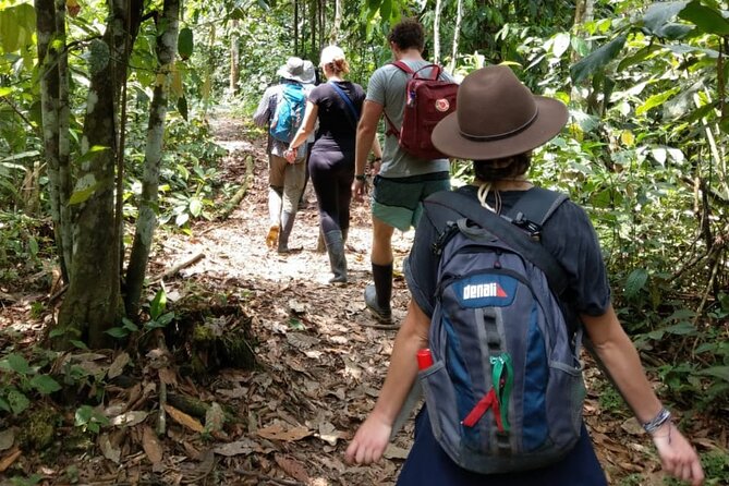 5 - Days Manu Jungle Tour with Hot Springs and Falls - How demanding is the five-day schedule?
