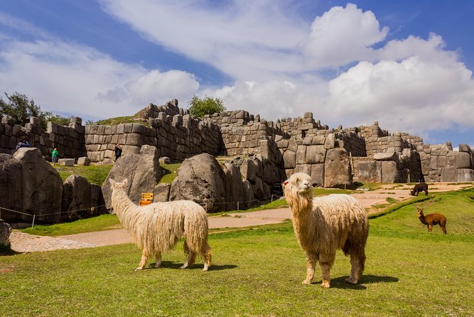 6-Day Best of Peru: Cusco, Machu Picchu, and Lake Titicaca Tour - Day three at Machu Picchu: the trip’s essential morning