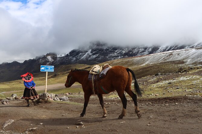 6-Day Cusco Andean Private Tour with Hotel Included - How the private format affects the trip