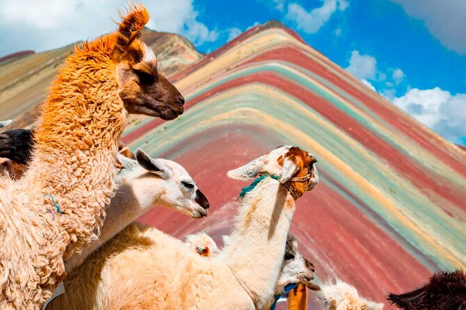 6-Day Tour of Cusco Magico-Machu Picchu-Rainbow Mountain - Day 6: A simple airport departure