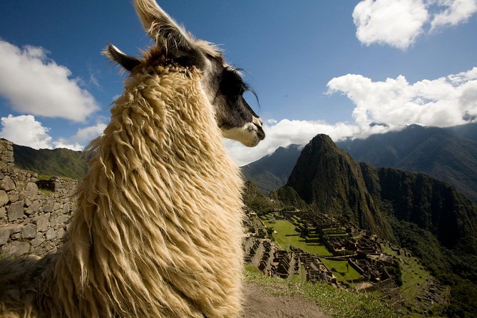 6 Days Exploring Cusco, Sacred Valley & Machu Picchu - Day 2: Sacsayhuaman and the high sites above Cusco
