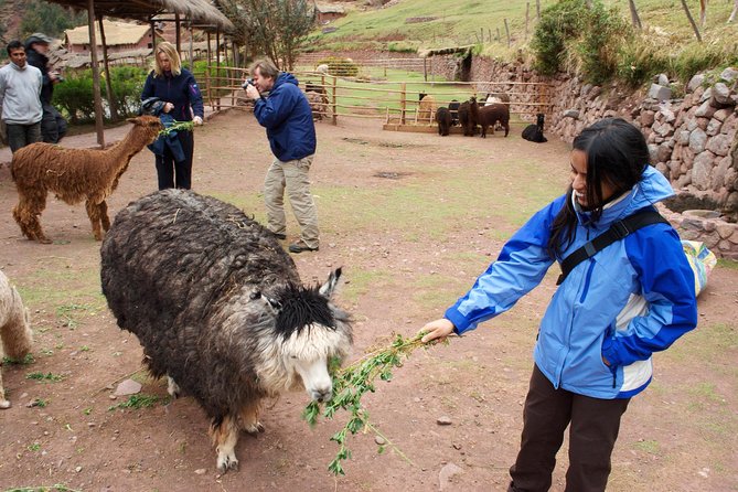 6 Days Exploring Cusco, Sacred Valley & Machu Picchu - Day 4: Moray, Maras, and the stones of Ollantaytambo