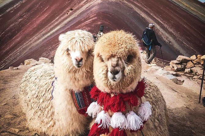 7 Colors Mountain Tour: Explore the Magic of Vinicunca in 1 Day - Key points to know before booking