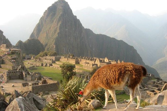 7-Day Lima and Cusco Tour with Sunrise at Machu Picchu - Flying to Cusco and Taking Altitude Seriously
