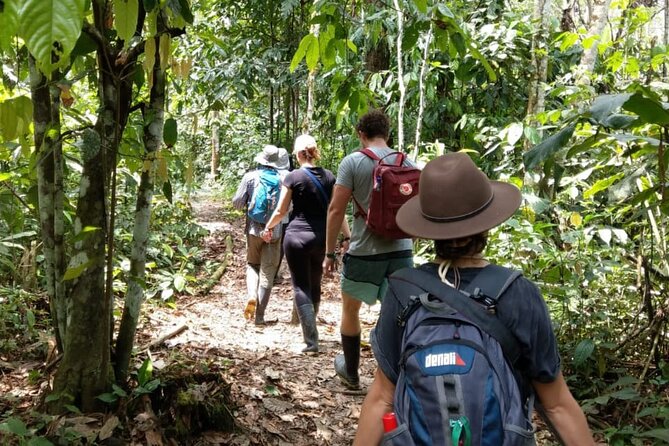 7 days/6 nights Tour reserved area Manu National Park in Cusco - Clay licks and the search for a jaguar