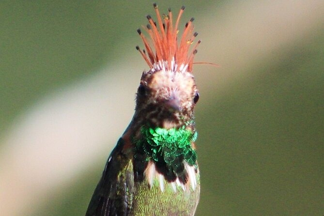 7 days/6 nights Tour reserved area Manu National Park in Cusco - Shintuya hot springs and six hours on the river