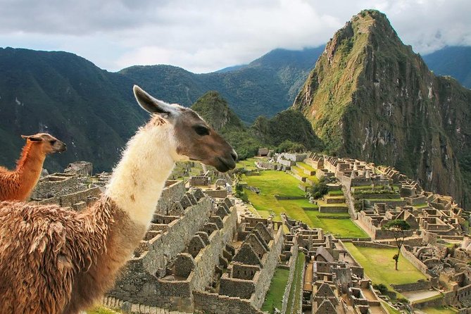 8 Days - Cusco || Sacred Valley || MachuPicchu || Rainbow Mountain ||Queswachaka - Day 3: Machu Picchu, then the return through Maras and Moray