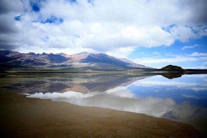 8-Hours Tour in Arequipa Laguna de Salinas with Pick-up - Salinas y Aguada Blanca National Reserve at 4,200 meters