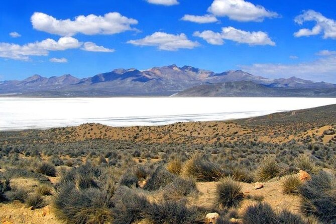 8-Hours Tour in Arequipa Laguna de Salinas with Pick-up - Laguna de Salinas and the famous mirror effect