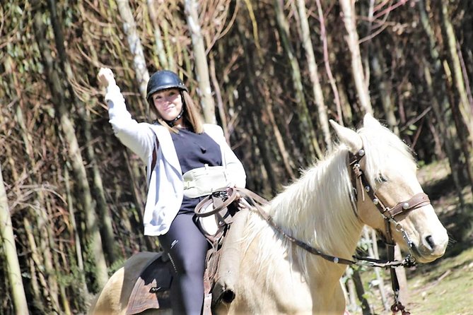Adrenalin Mystic Tour Full Service - Key points at a glance