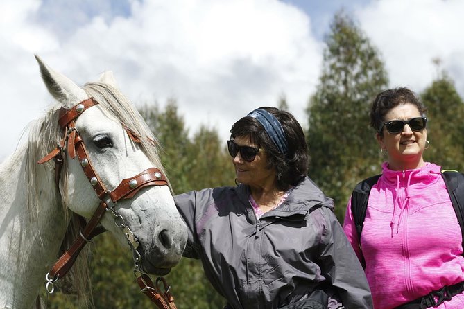 Adrenalin Mystic Tour Full Service - Is $65 a fair price?
