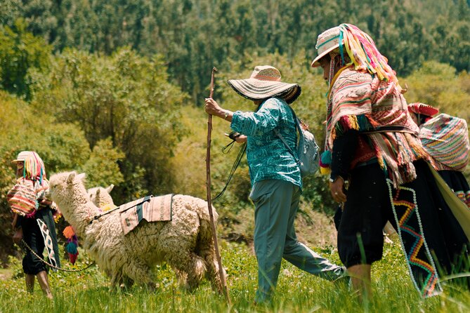 Alpaca Walk & Natural Dye Tour: A Memorable Full Day Experience - Five things to know before booking