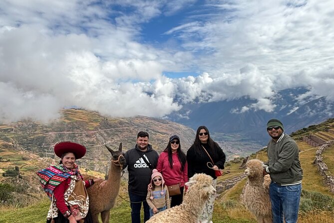 Alpaca Walk over the Sacred Valley of the Incas from Cusco - Key points at a glance