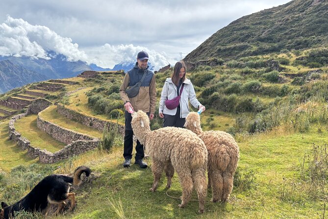 Alpaca Walk over the Sacred Valley of the Incas from Cusco - Why the quiet setting matters