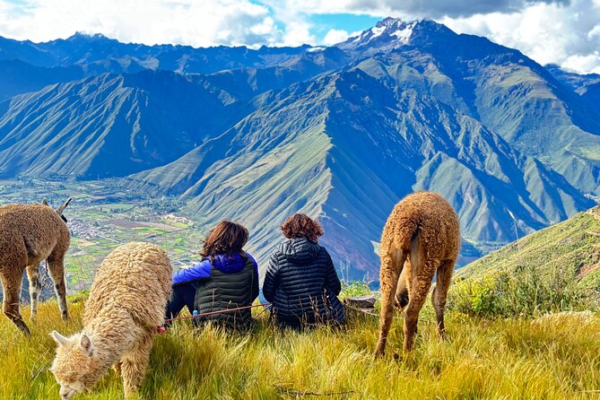 Alpaca Walk over the Sacred Valley of the Incas from Cusco - The $40 price and what you receive