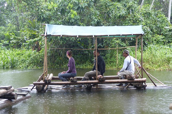 Amazon Jungle Tour 3 days - Day 3: One last forest walk, then the long return