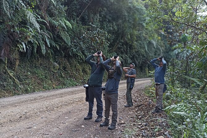 Amazon Jungle Tour 3 days - Ninamarca and Paucartambo’s local rhythm