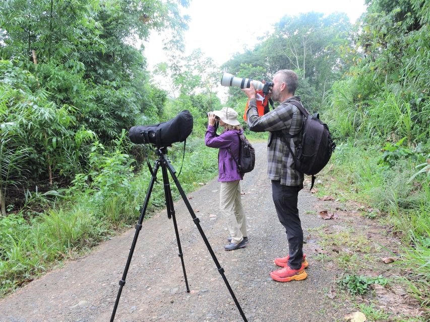 Amazonian Adventure 3 Days: Exploring the Jungle from Cusco - The first night brings out the smaller creatures