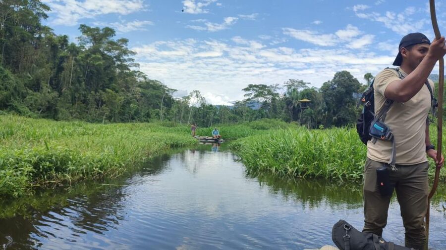Amazonian Adventure 3 Days: Exploring the Jungle from Cusco - Returning through the forest to Cusco