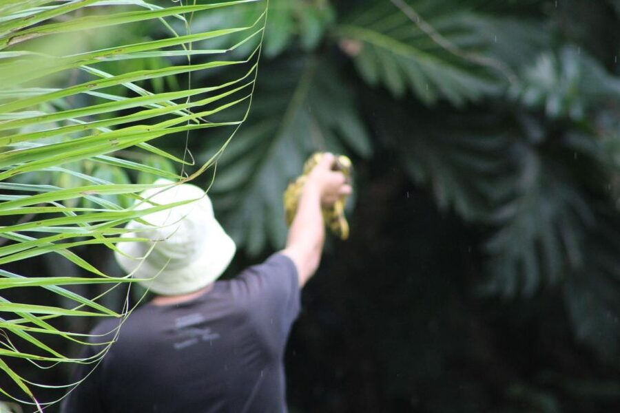 Amazonian Adventure 3 Days: Exploring the Jungle from Cusco - Should you book the Amazonian Adventure?