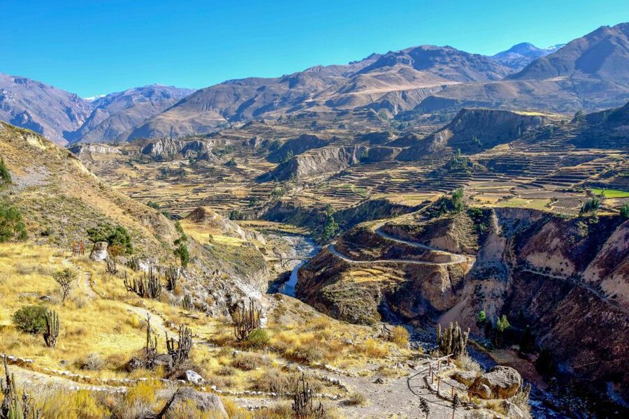 Andes: Colca Canyon Day-Trip - Maca Village and the human side of the canyon
