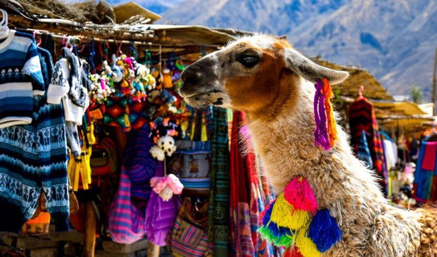 Andes: Colca Canyon Day-Trip - Chivay lunch, market time, and the extra costs