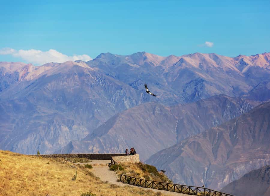 Arequipa: 2-Day Colca Canyon Classic Tour return to Arequipa - Why two days works better than a quick canyon visit