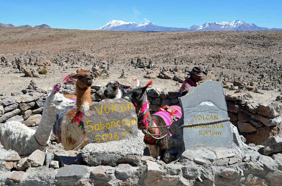 Arequipa: 2-Day Colca Canyon Classic Tour return to Arequipa - Arriving in Chivay and choosing your overnight base
