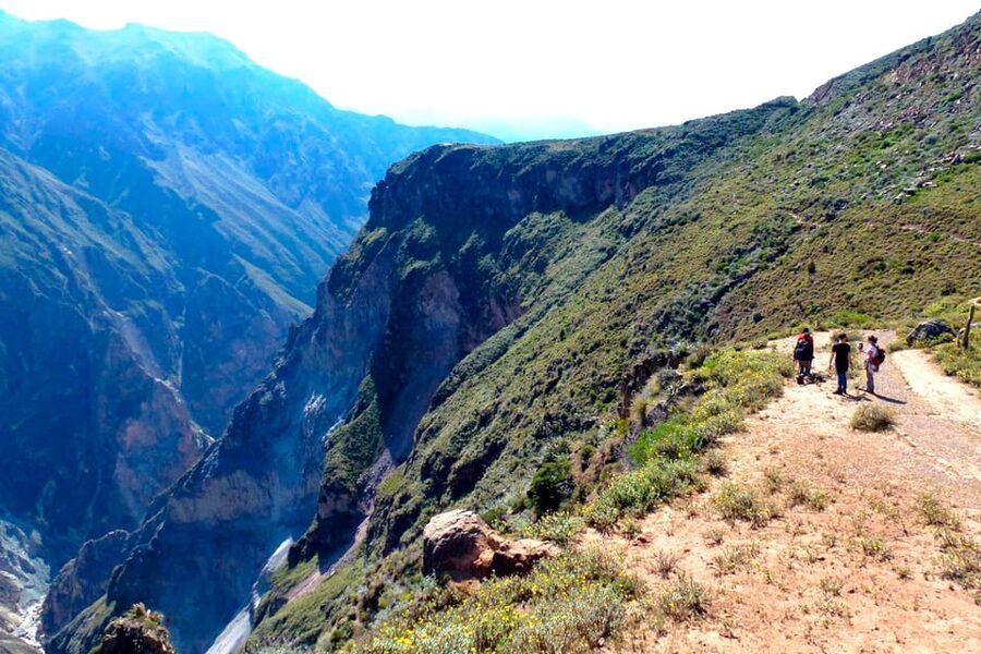 Arequipa: 2-day Colca Canyon Trekking, Ending in Puno - The 4:30 a.m. climb to Cabanaconde
