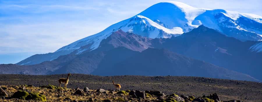 Arequipa | Ascent to Chachani Volcano 2 days / 1 night - The 2:00 a.m. Summit Push