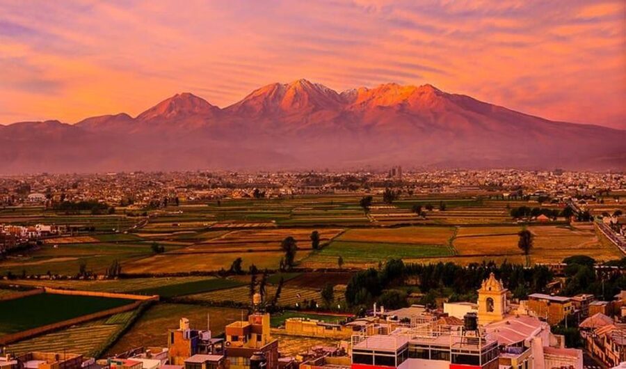 Arequipa: City and Country Tour - Incalpaca and the four camelid species