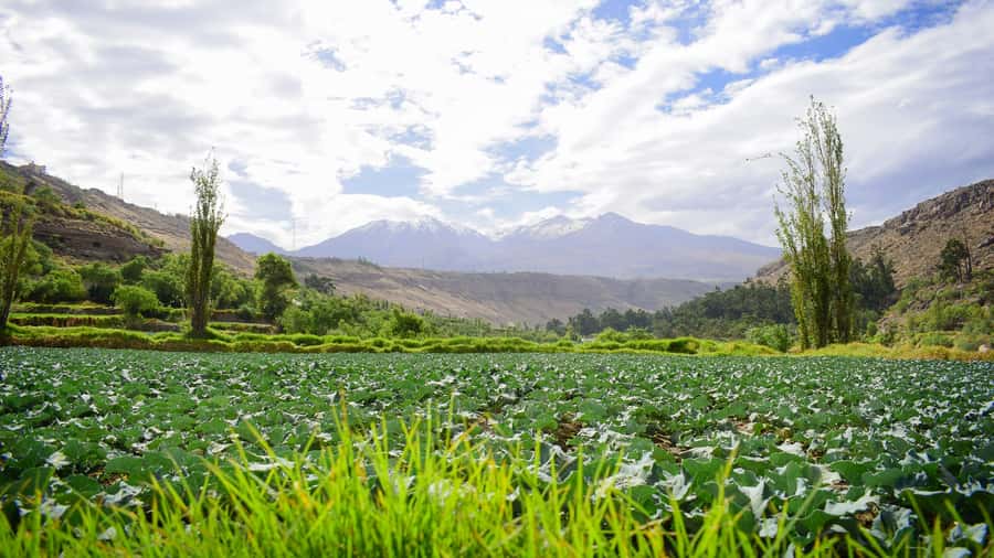 Arequipa: City and Countryside Panoramic Bus Tour - Plaza de Armas and Santa Catalina in passing